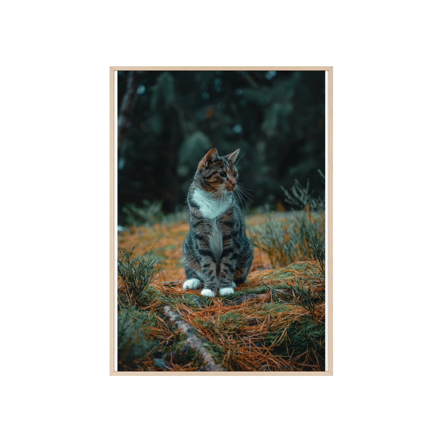 Forest Reverie