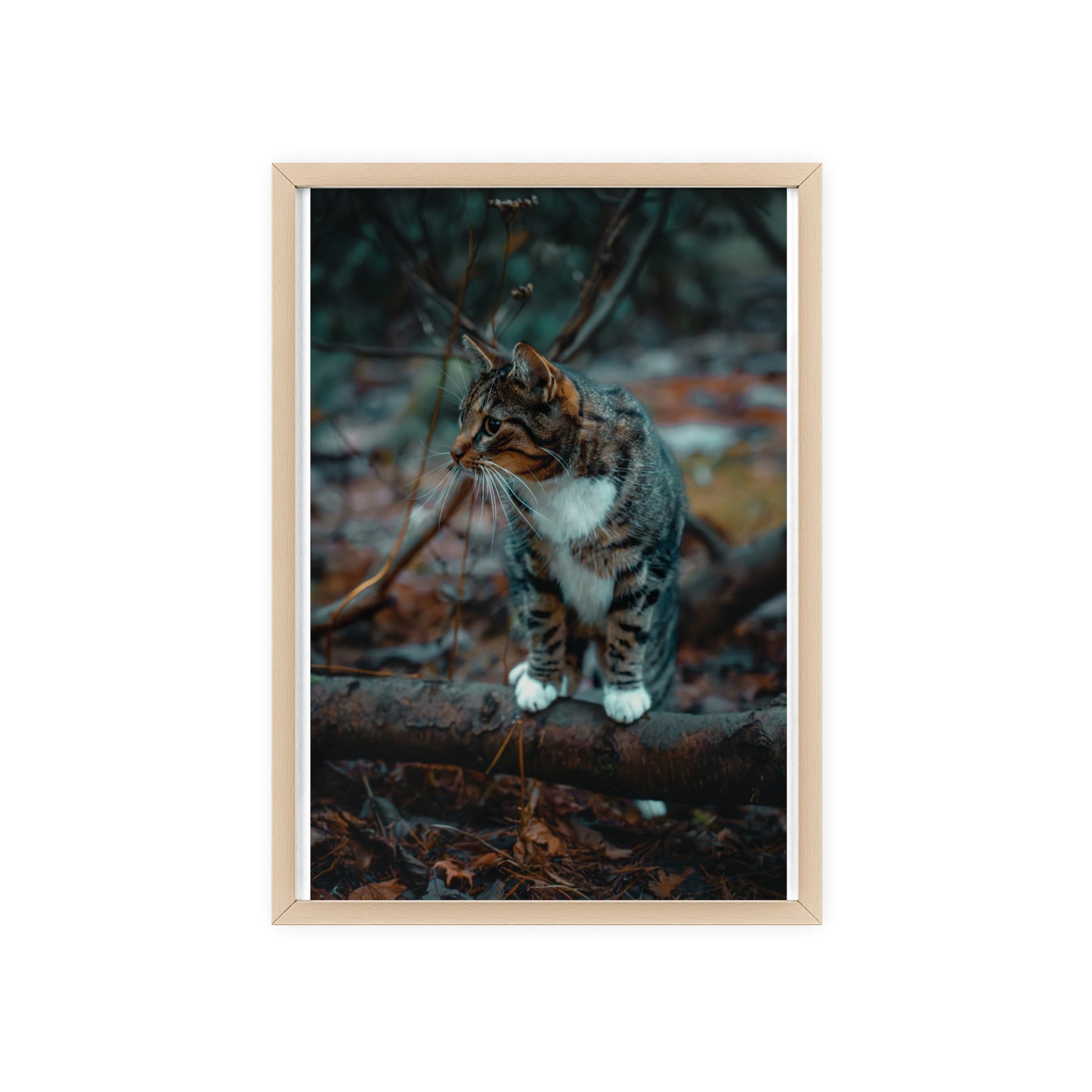 Beyond the Woods
