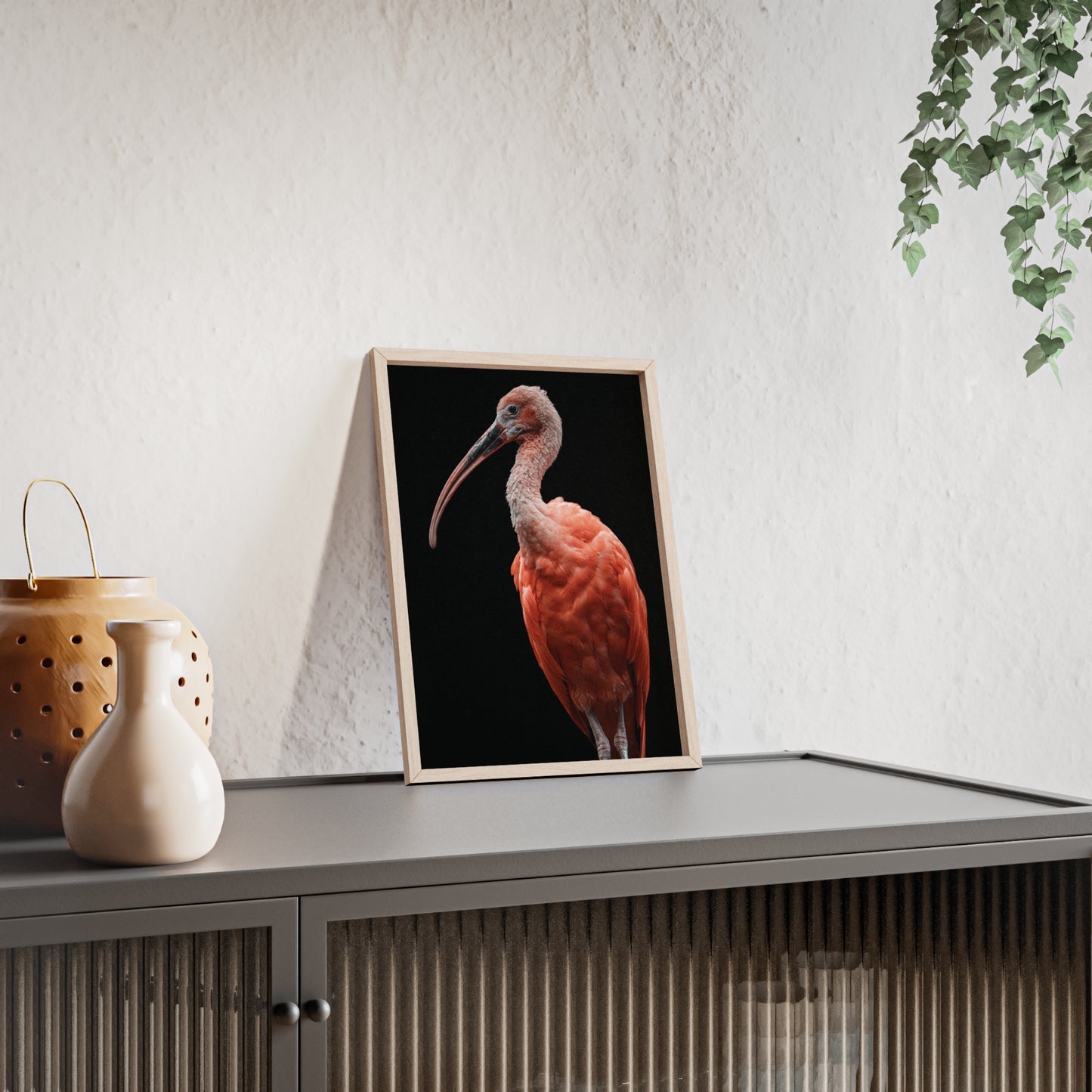 Scarlet Ibis