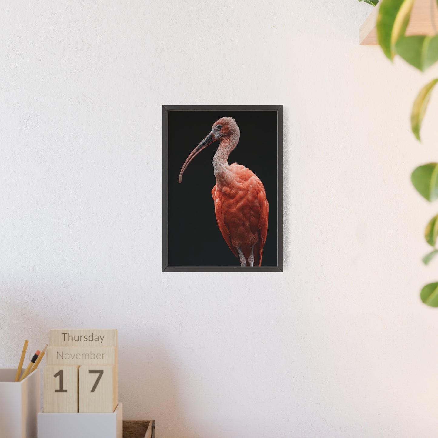 Scarlet Ibis
