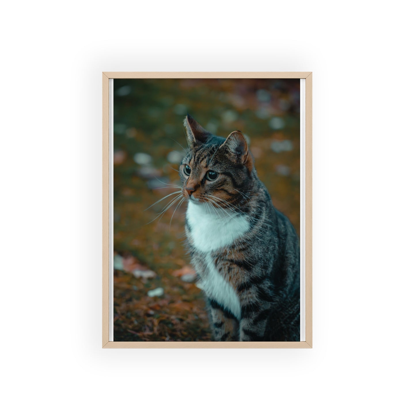 Autumn Thoughts