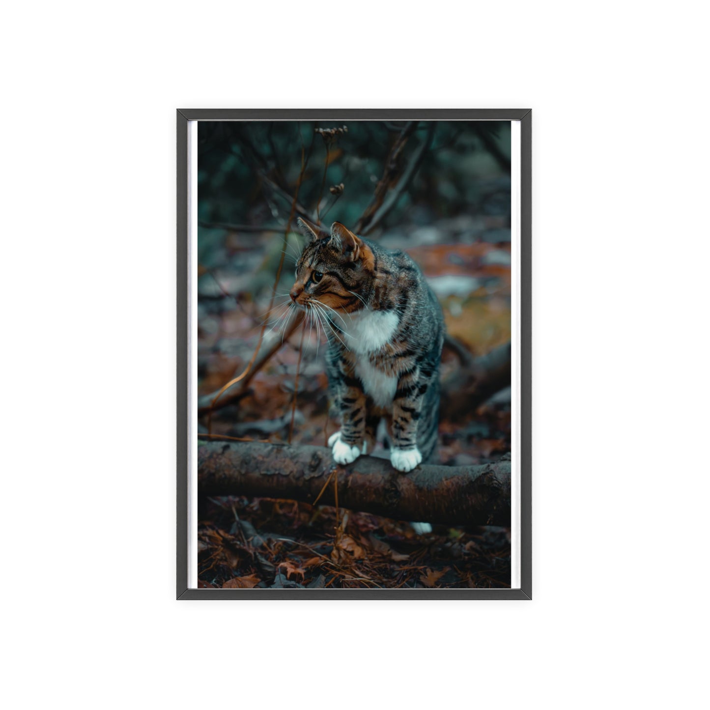 Beyond the Woods