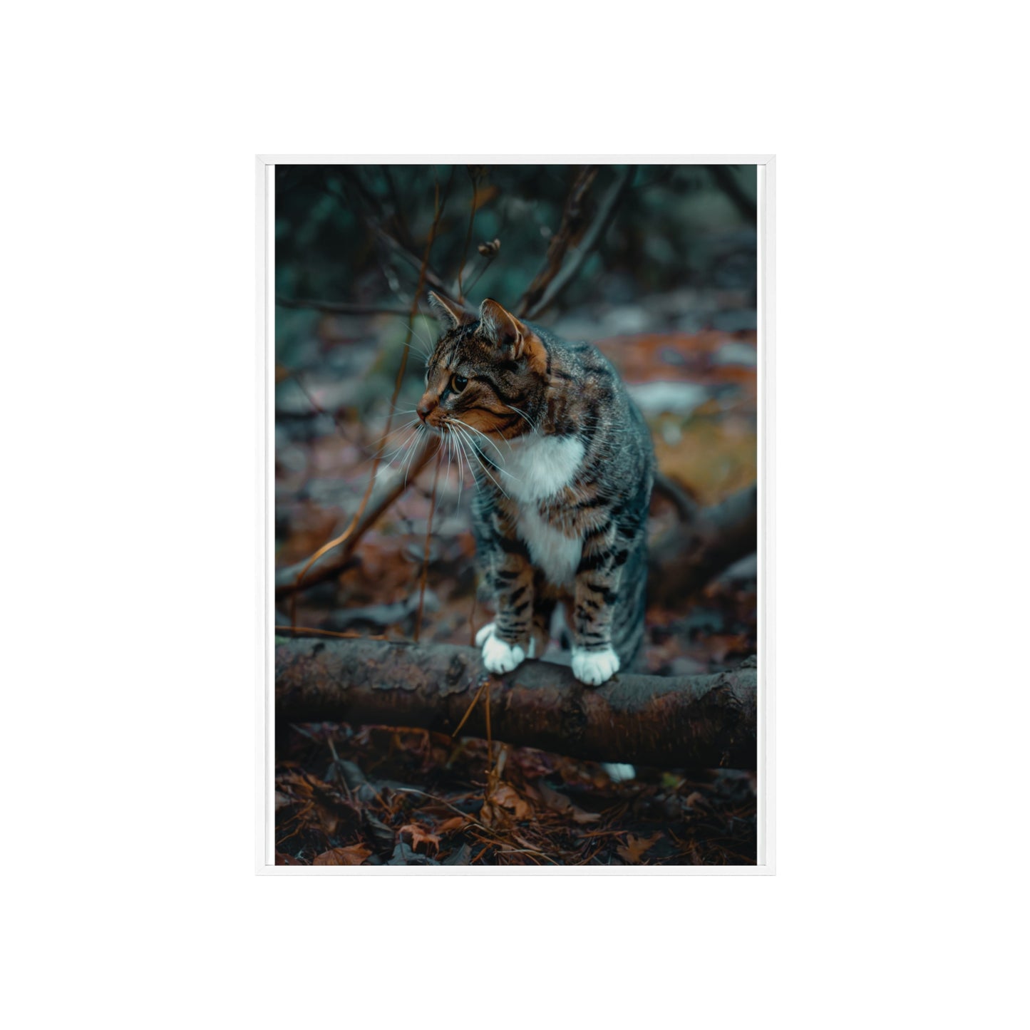 Beyond the Woods