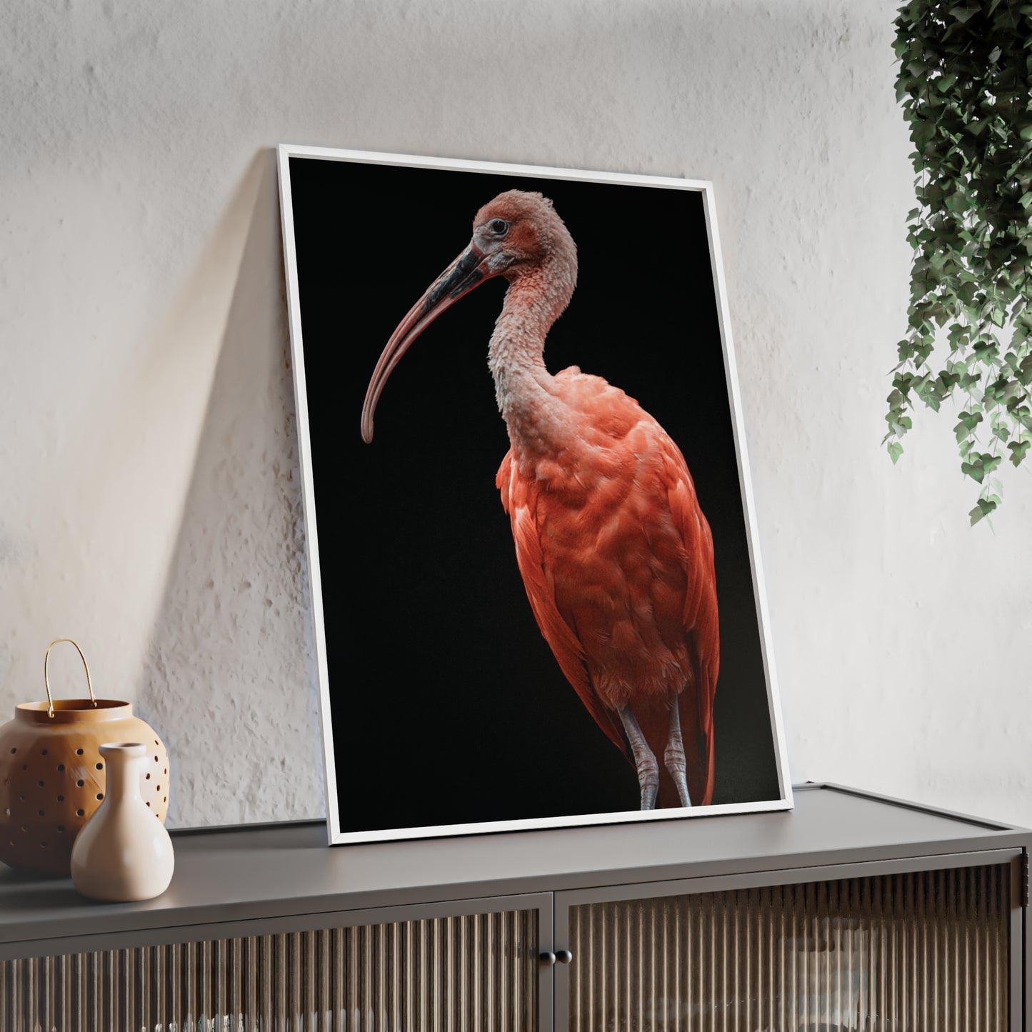 Scarlet Ibis
