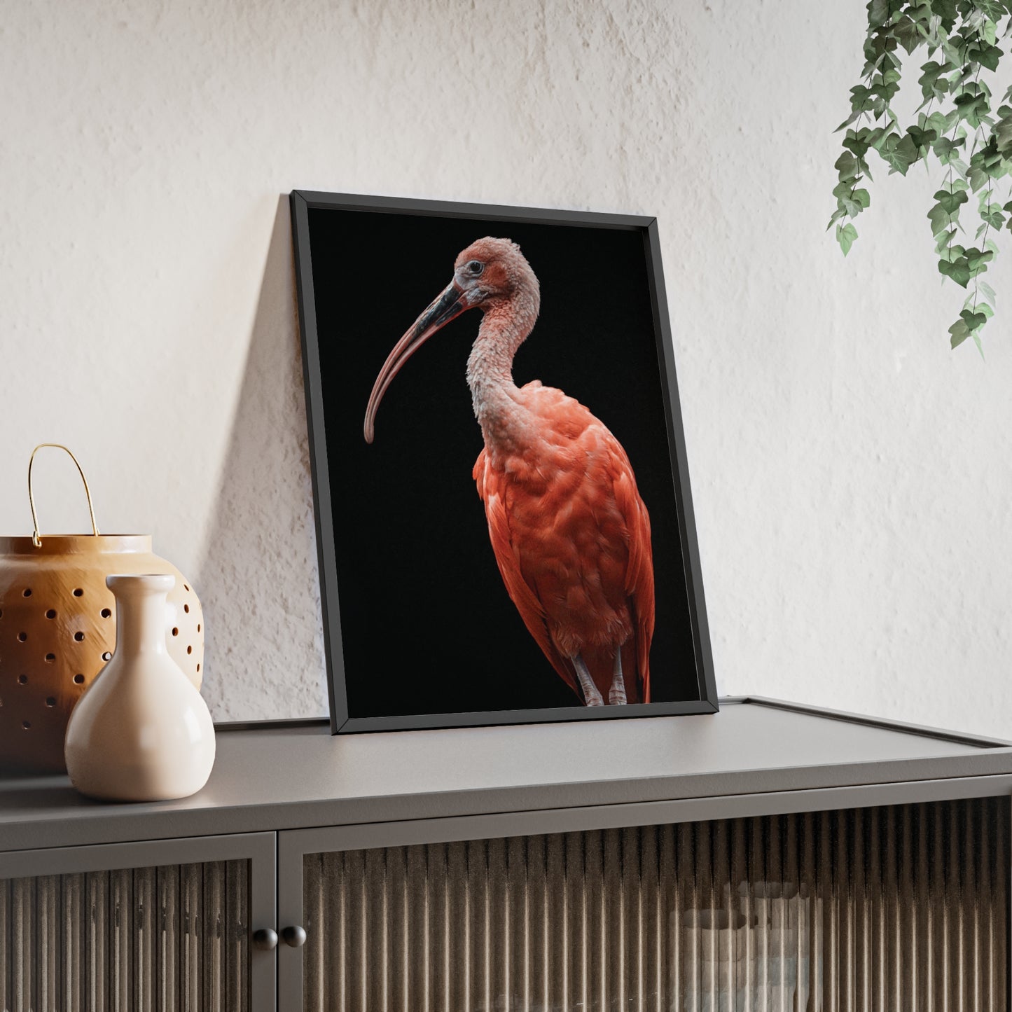 Scarlet Ibis
