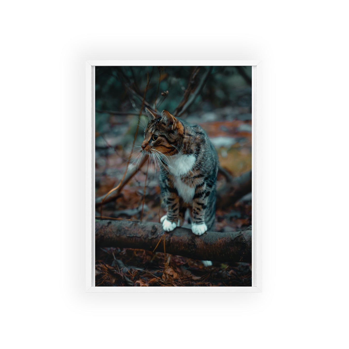 Beyond the Woods