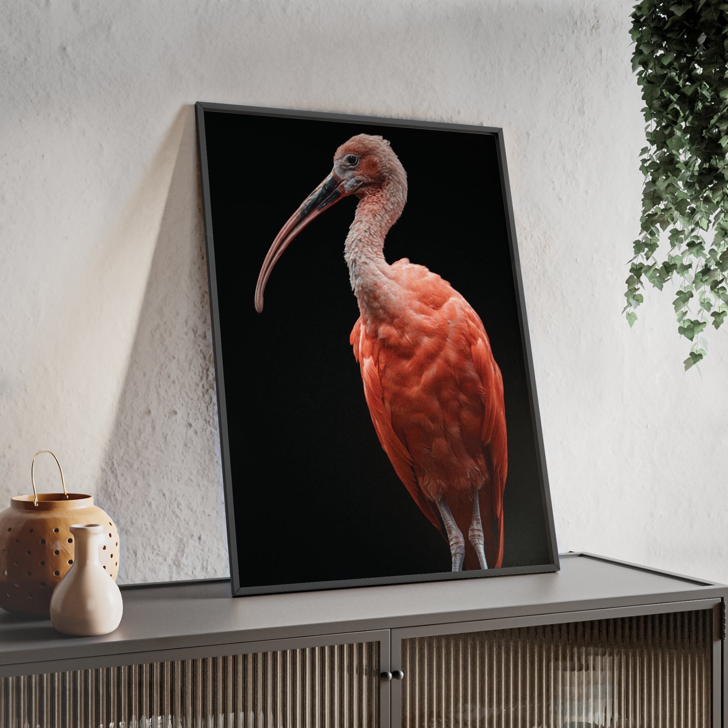 Scarlet Ibis