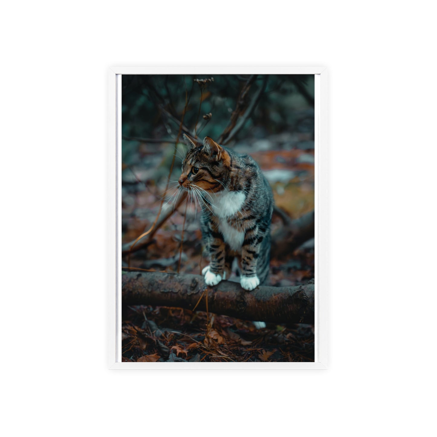 Beyond the Woods