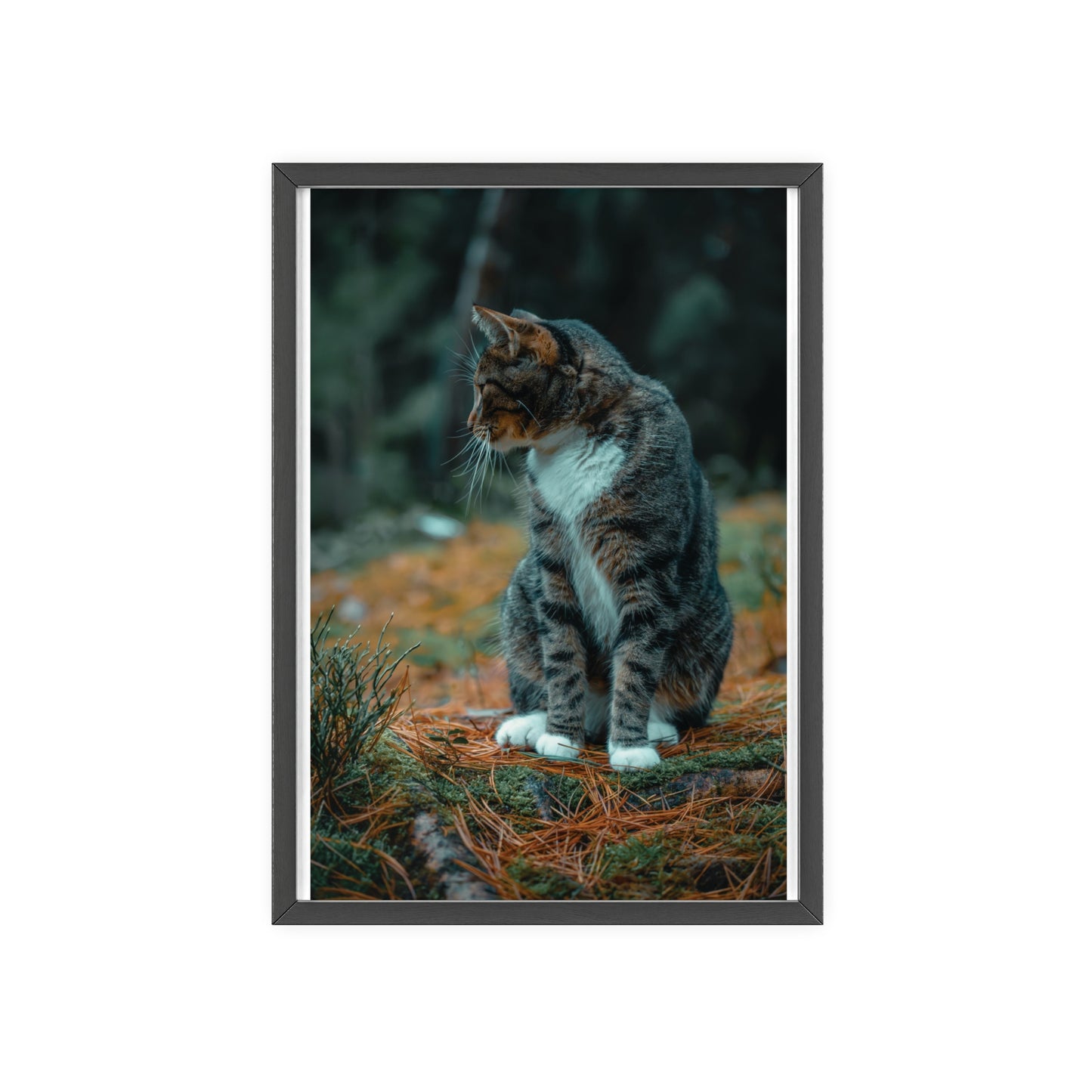 Quiet Reflection