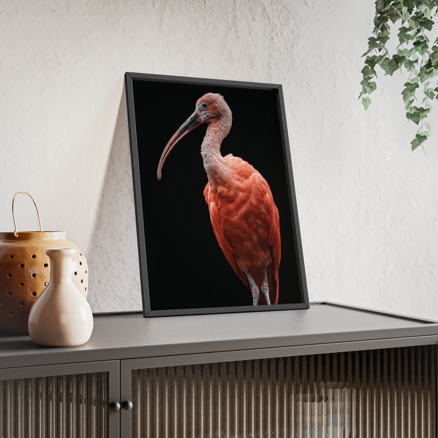 Scarlet Ibis