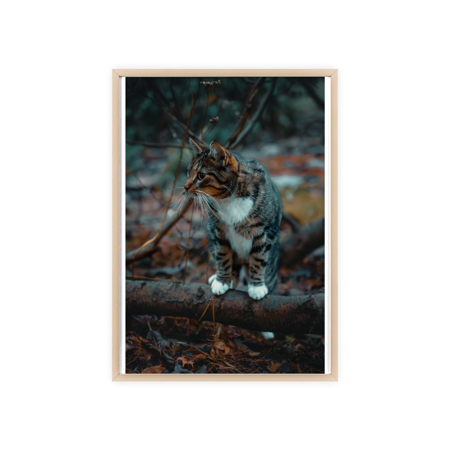 Beyond the Woods