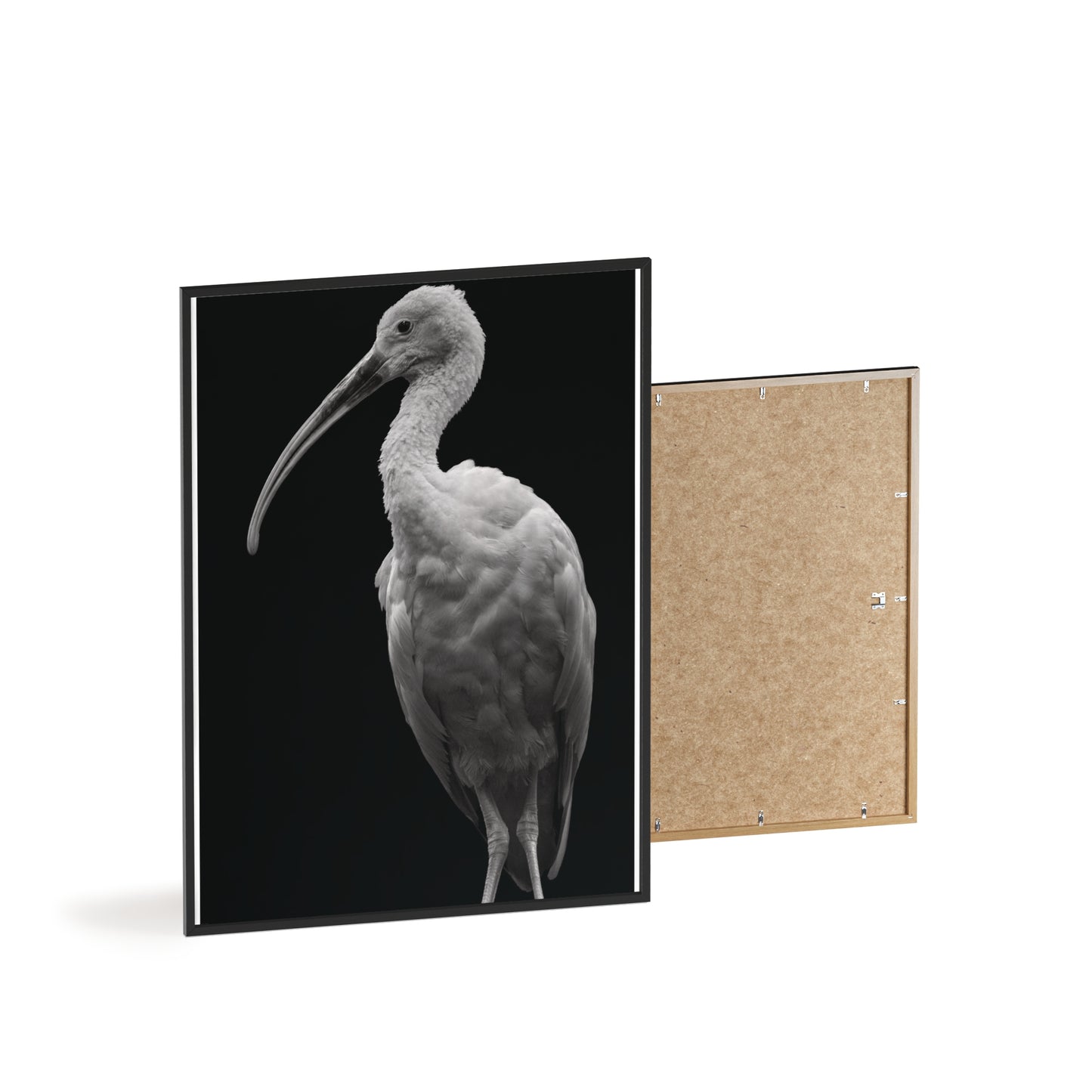 Scarlet in Silence