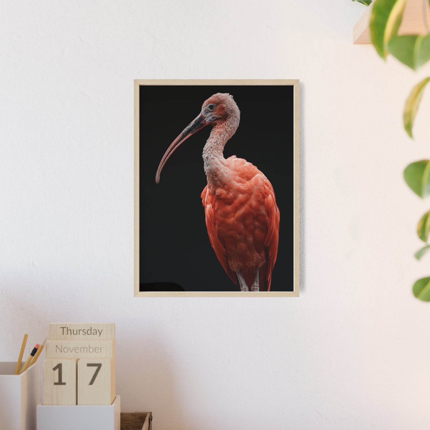 Scarlet Ibis