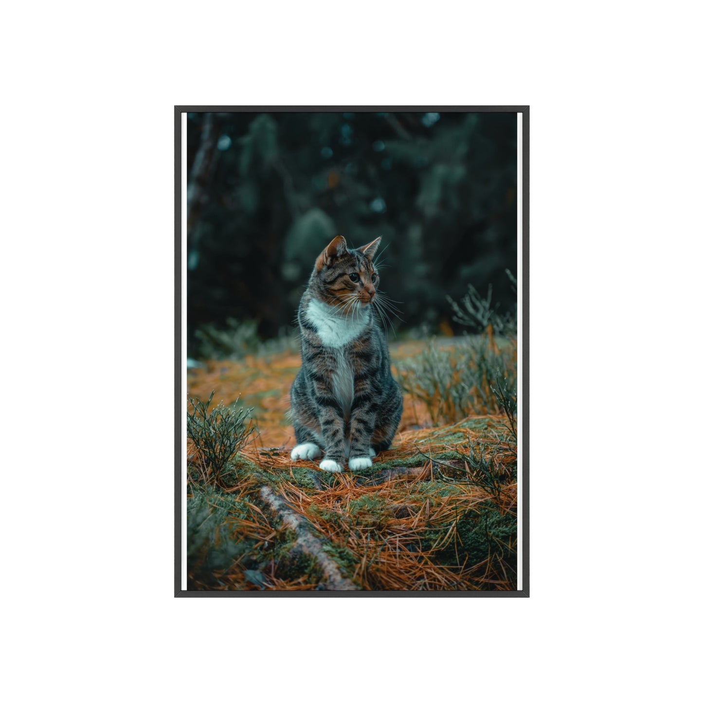 Forest Reverie