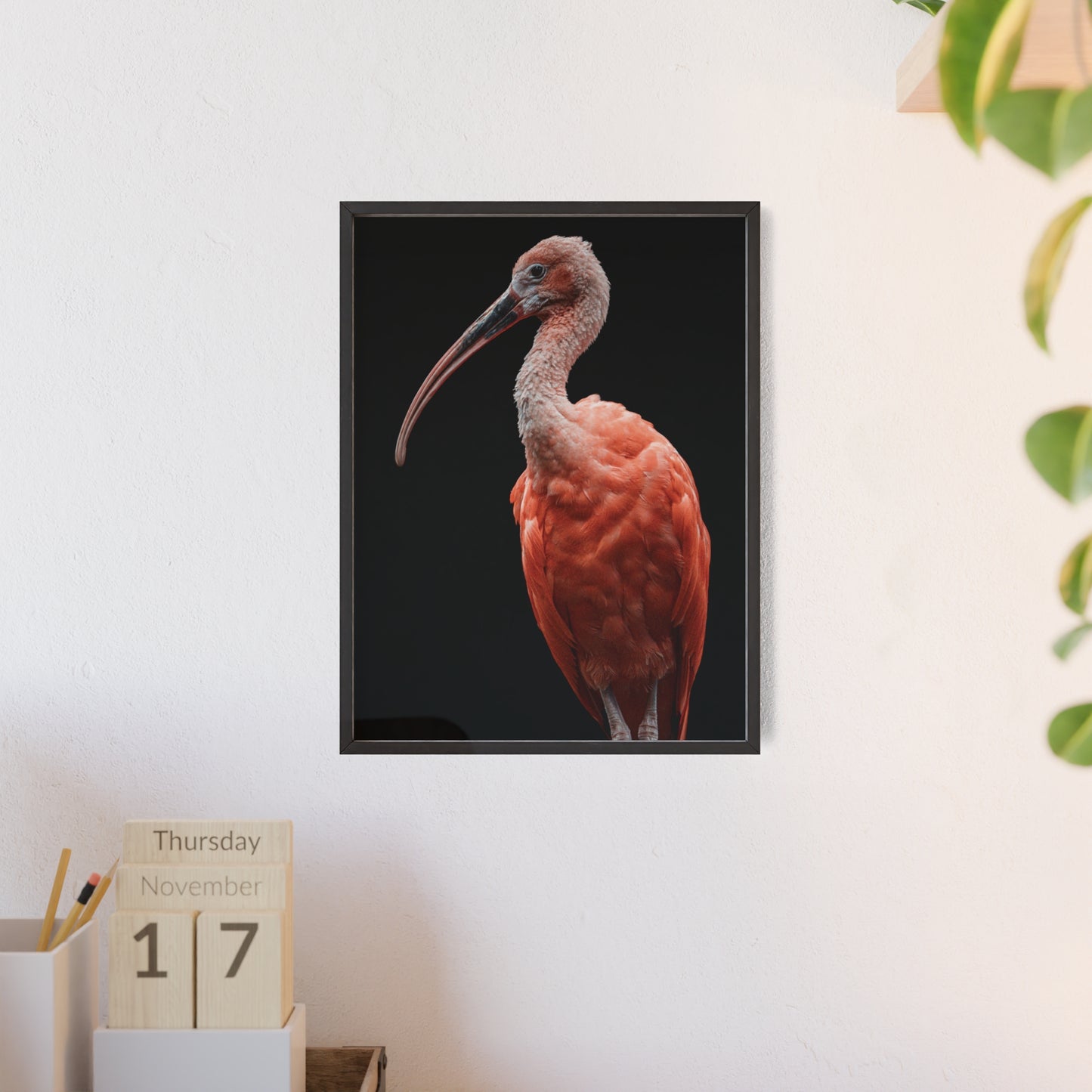 Scarlet Ibis