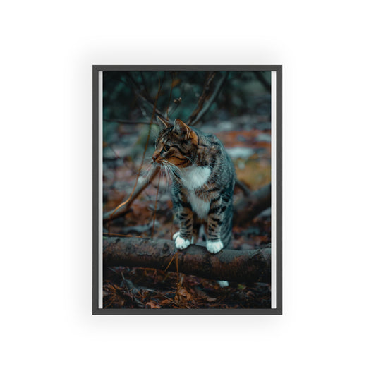 Beyond the Woods