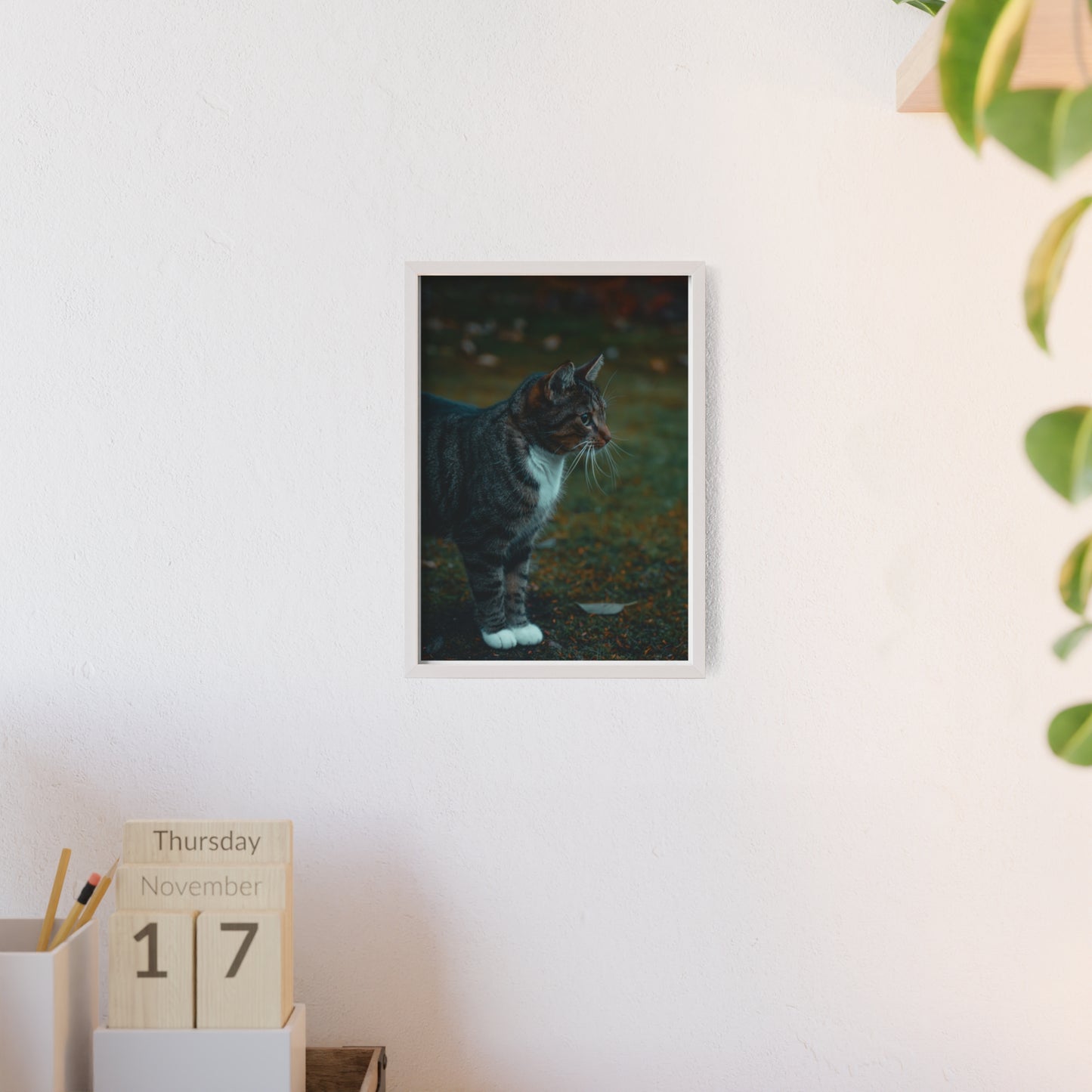 Forest Watcher