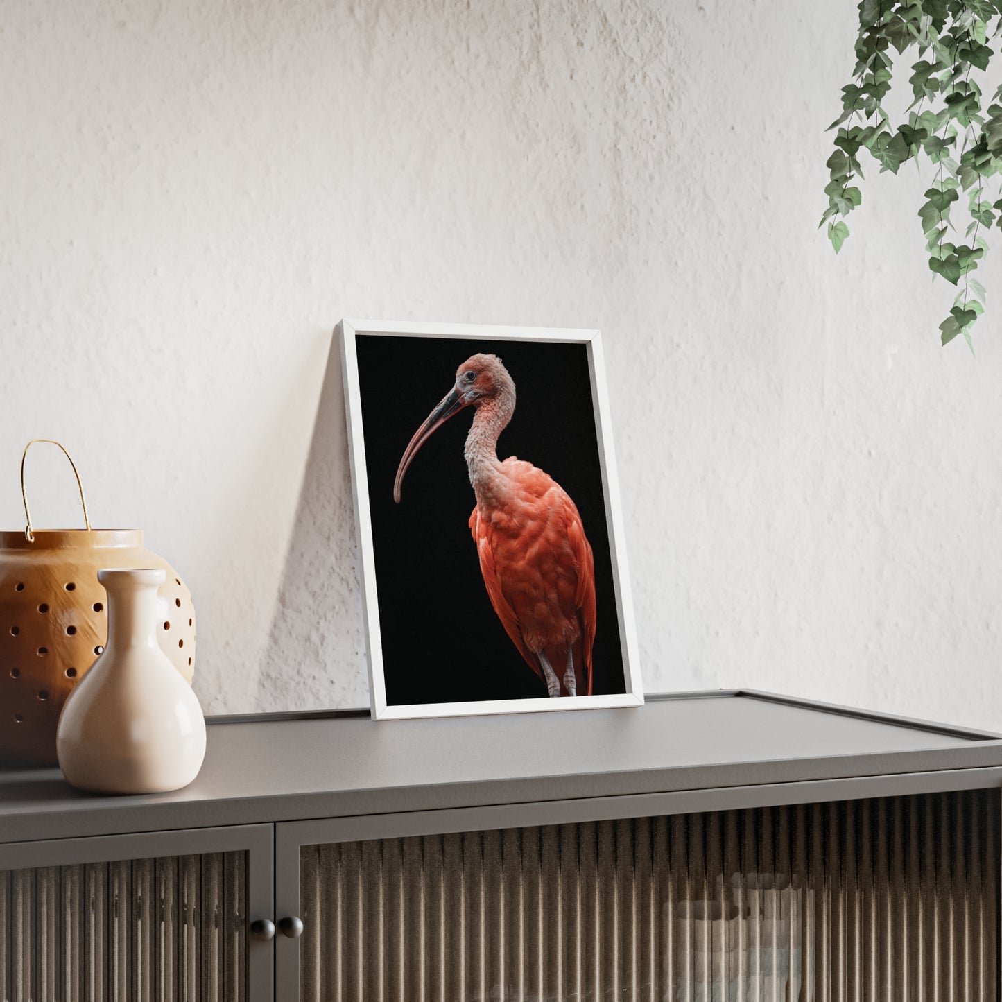 Scarlet Ibis