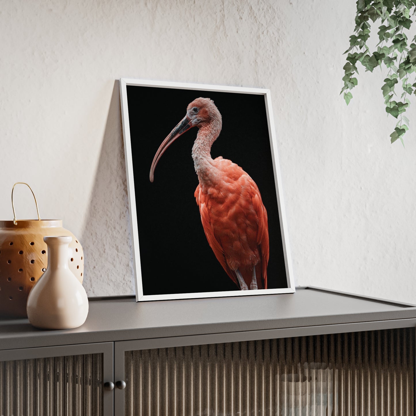 Scarlet Ibis