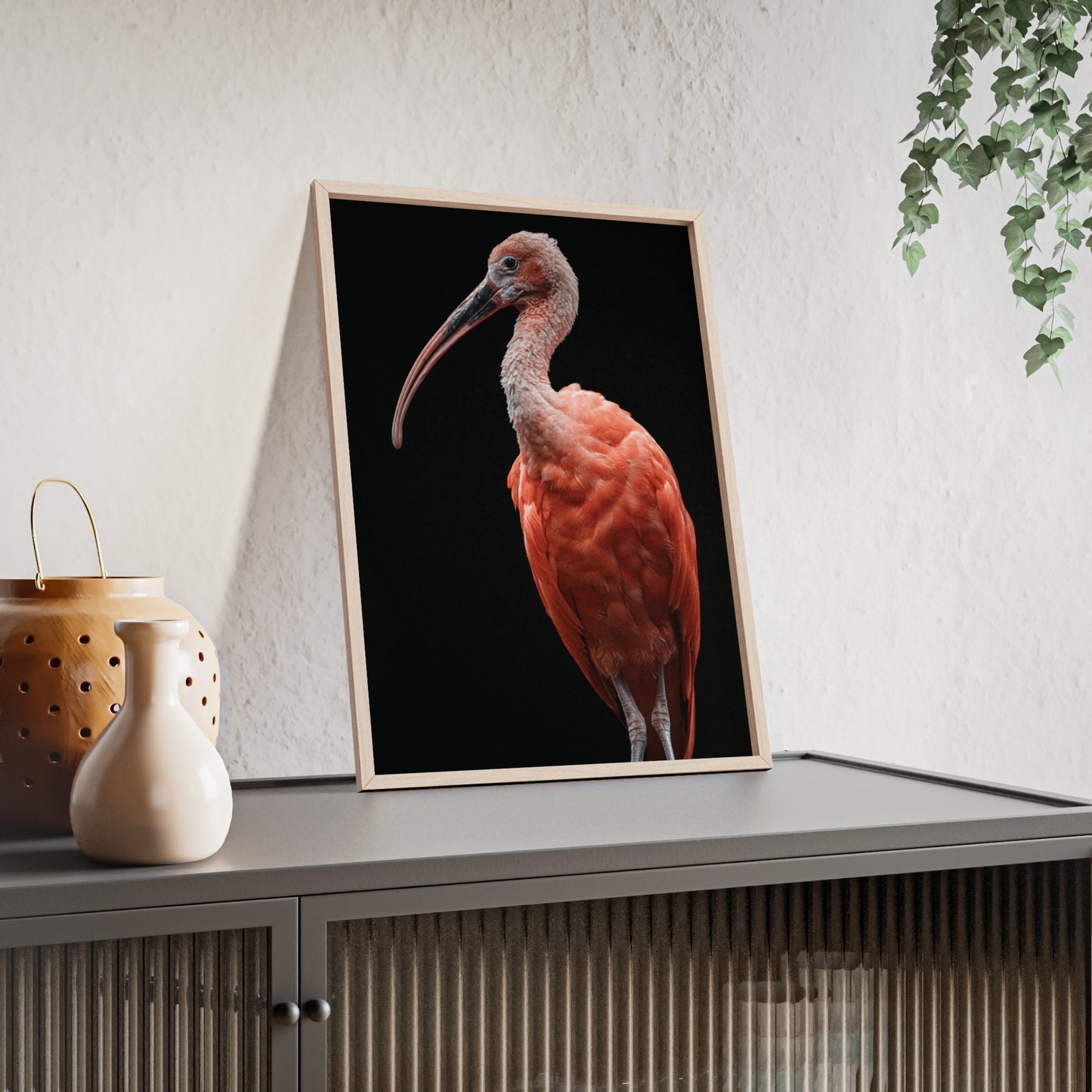 Scarlet Ibis