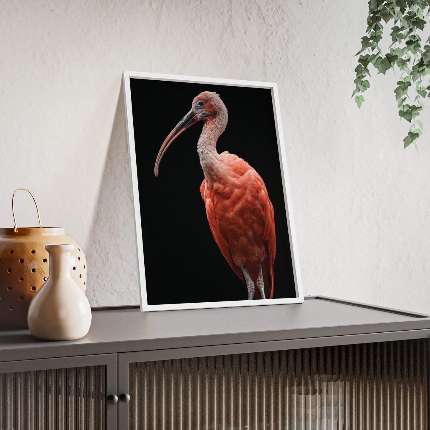 Scarlet Ibis