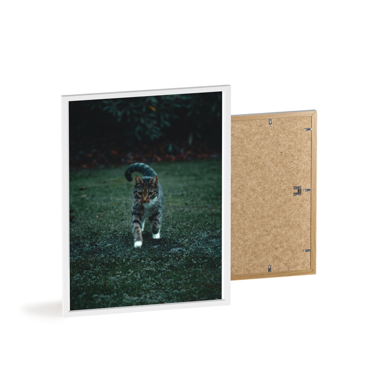 Crossing the Clearing