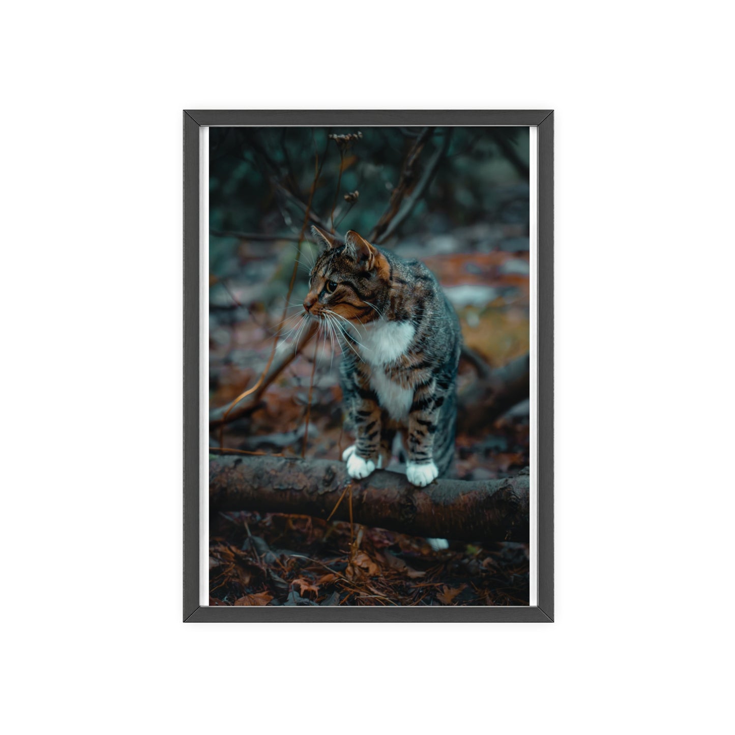 Beyond the Woods