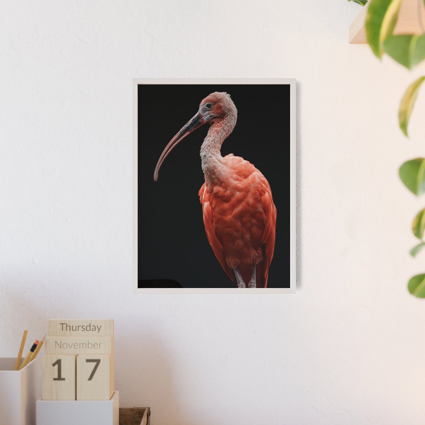Scarlet Ibis