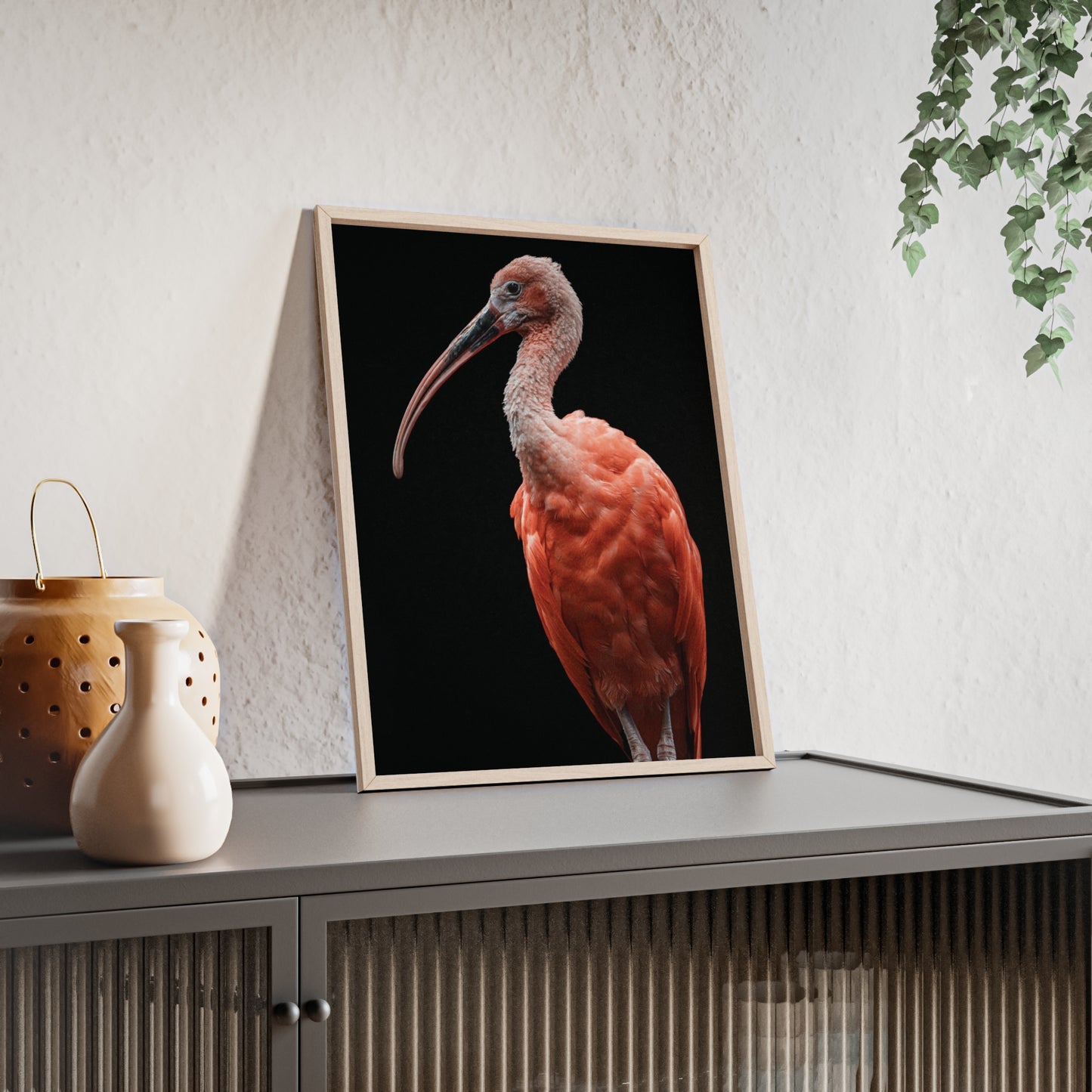 Scarlet Ibis