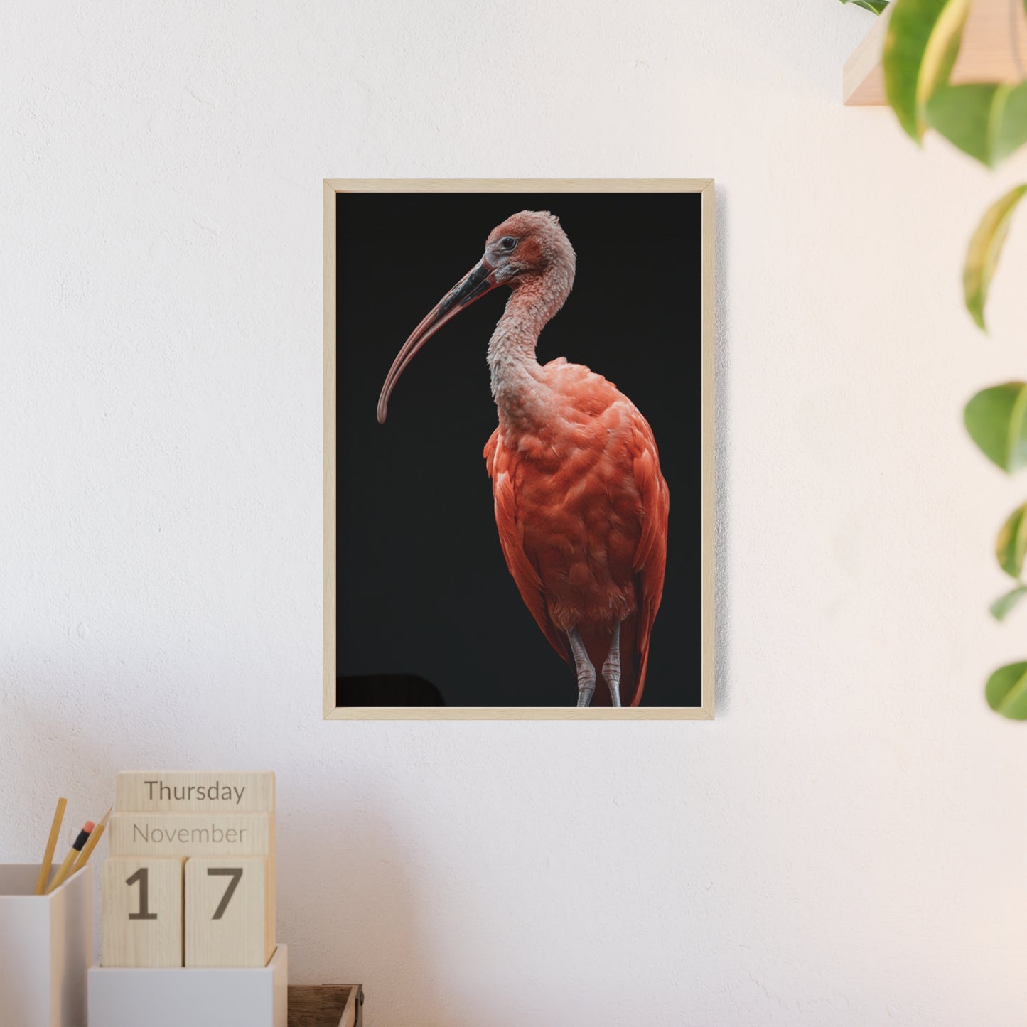 Scarlet Ibis