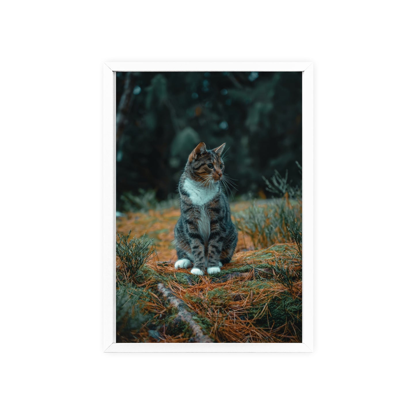 Forest Reverie