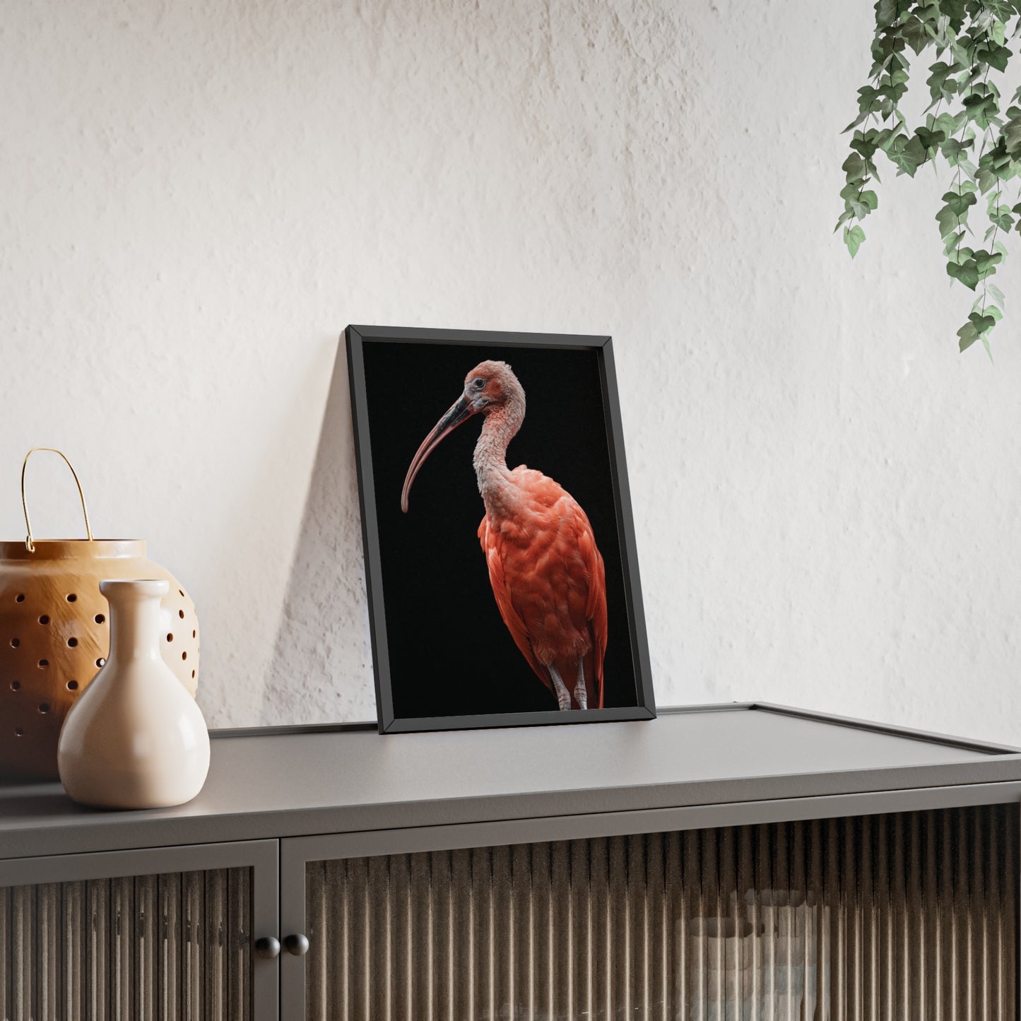 Scarlet Ibis