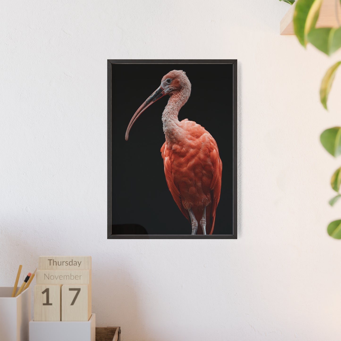 Scarlet Ibis