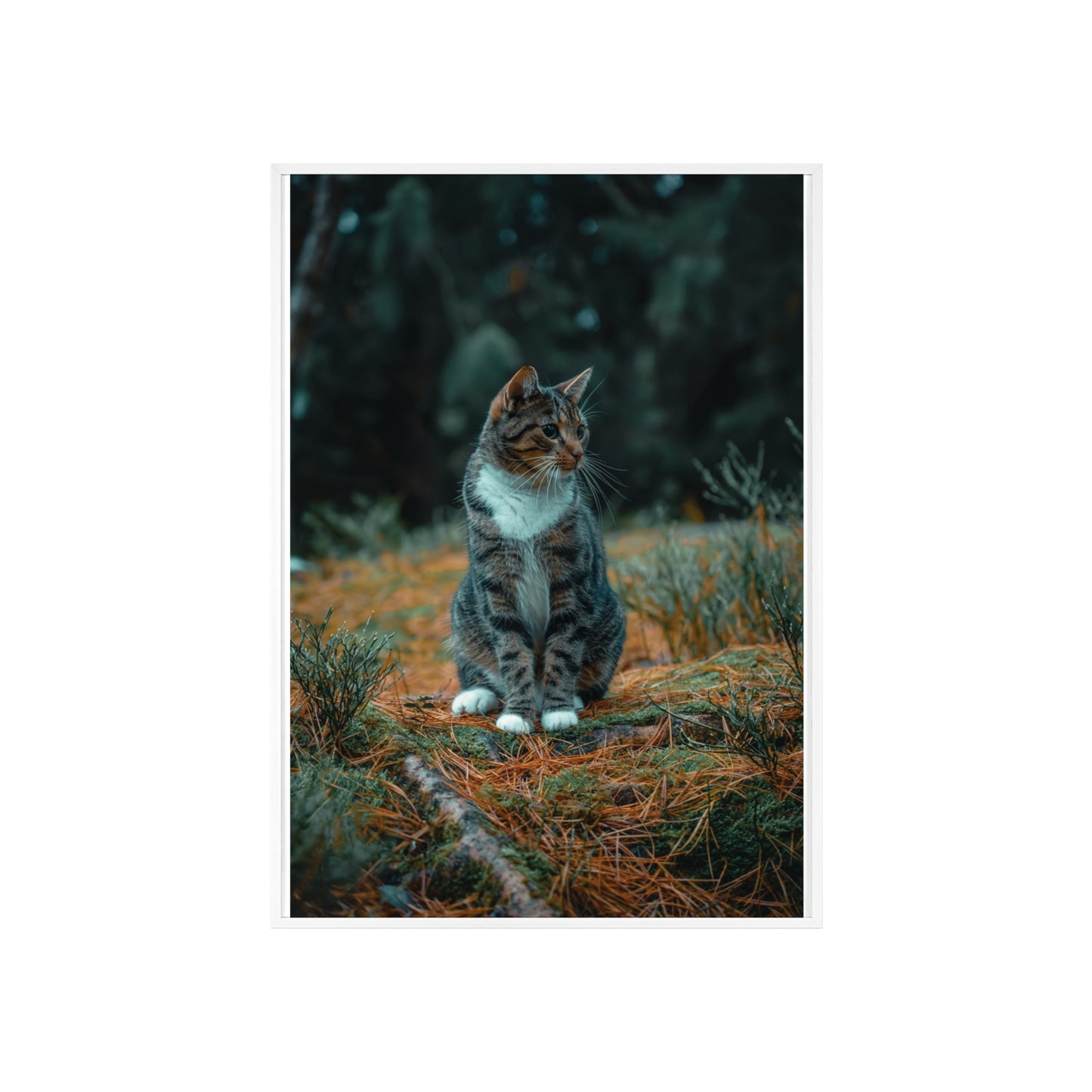 Forest Reverie